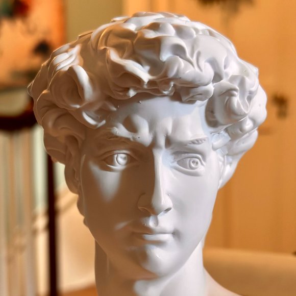 Michelangelo's David Bust - Picture 2 of 16